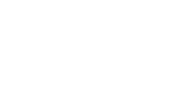 Collins Cleaning Valet